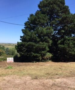 Terreno en Venta en Sierra de los Padres