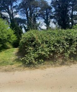 Terreno en Venta en Sierra de los Padres