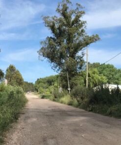 Alternative view of Campo en Alquiler en La Gloria de la Peregrina