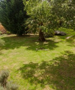 Alternative view of Casa - Chalet en Venta en Sierra de los Padres