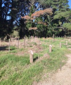 Terreno en Venta en Sierra de los Padres