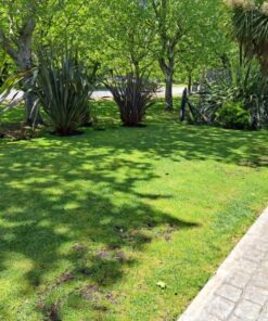 Casa - Chalet en Venta en Rumencó
