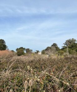 Terreno en Venta en Mar del Plata