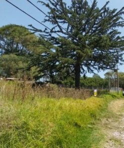 Terreno en Venta en Sierra de los Padres