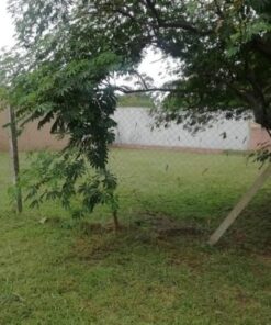 Alternative view of Terreno en Venta en Caisamar