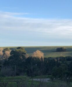 Terreno en Venta en Sierra de los Padres
