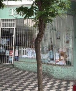 Local en Venta en Centro