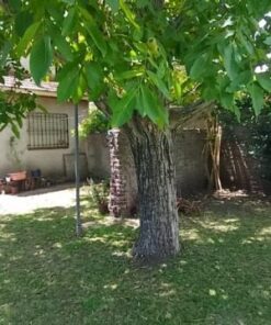 Alternative view of Casa - Chalet en Venta en Bosque Alegre