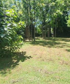 Alternative view of Terreno en Venta en Mar del Plata