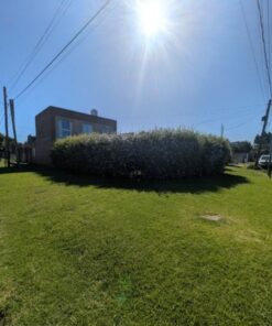 Alternative view of Casa - Chalet en Venta en Mar del Plata