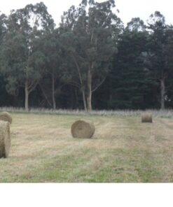 Terreno en Venta en Sierra de los Padres