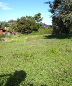 Alternative view of Terreno en Venta en Sierra de los Padres