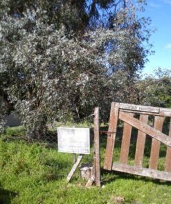 Terreno en Venta en Sierra de los Padres