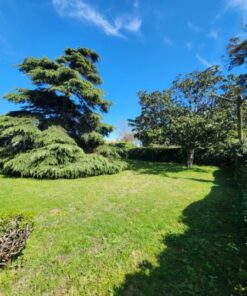 Alternative view of Casa - Chalet en Venta en Mar del Plata