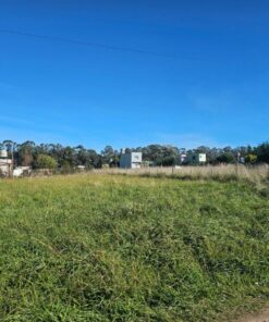 Terreno en Venta en Playa Los Lobos