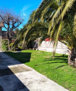 Alternative view of Casa - Chalet en Venta en Colinas de Peralta Ramos