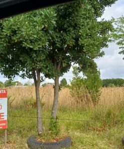 Terreno en Venta en Villa Primera
