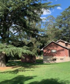 Alternative view of Departamento en Alquiler en Sierra de los Padres