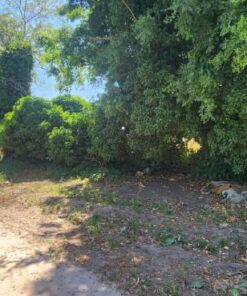 Alternative view of Terreno en Venta en El Tejado