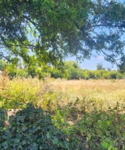 Terreno en Venta en El Tejado