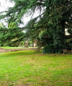 Casa - Chalet en Venta en Sierra de los Padres
