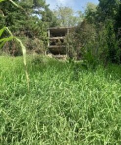 Alternative view of Casa - Chalet en Venta en Sierra de los Padres