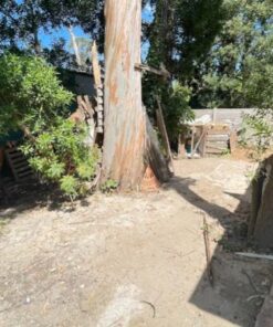 Alternative view of Casa - Chalet en Venta en Bosque Peralta Ramos
