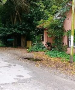 Casa - Chalet en Venta en El Tejado