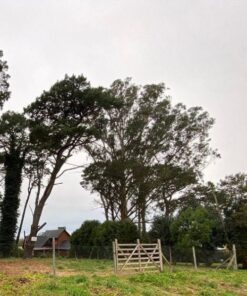 Terreno en Venta en Sierra de los Padres