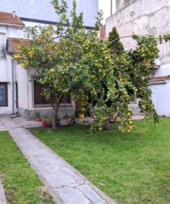 Alternative view of Casa - Chalet en Venta en Mar del Plata