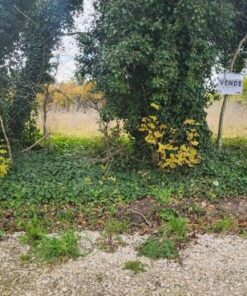 Terreno en Venta en El Sosiego