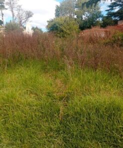 Terreno en Venta en Sierra de los Padres