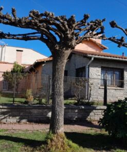 Alternative view of Casa - Chalet en Venta en Mar del Plata