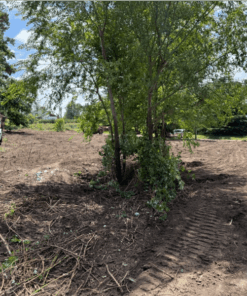 Terreno en Venta en Sierra de los Padres
