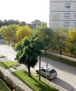 Alternative view of Departamento en Alquiler en Las Lilas