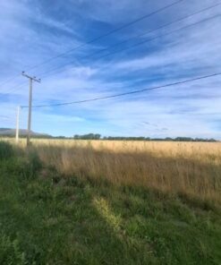 Terreno en Venta en Balcarce