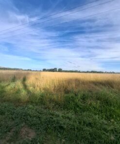 Alternative view of Terreno en Venta en Balcarce