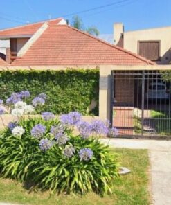 Casa - Chalet en Venta en Parque Luro