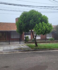 Casa - Chalet en Venta en Mar del Plata