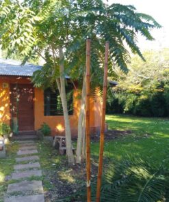 Casa - Chalet en Venta en El Tejado