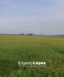 Campo en Venta en Balcarce