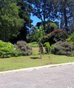 Terreno en Venta en Sierra de los Padres