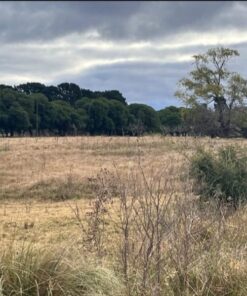 Alternative view of Terreno en Venta en Sierra de los Padres