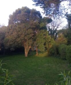 Alternative view of Terreno en Venta en Mar del Plata
