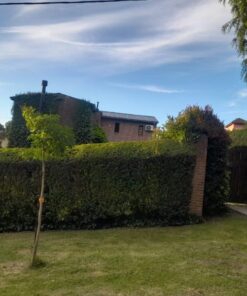 Alternative view of Casa - Chalet en Venta en Sierra de los Padres