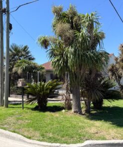 Alternative view of Casa - Chalet en Venta en Colinas de Peralta Ramos