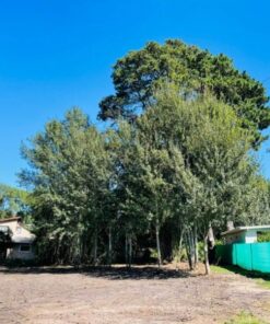 Terreno en Venta en Sierra de los Padres