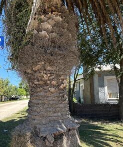 Alternative view of Casa - Chalet en Venta en Mar del Plata