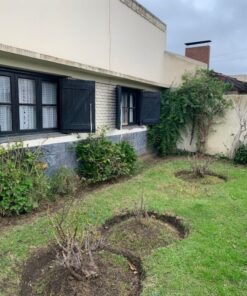 Alternative view of Casa - Chalet en Venta en Balcarce