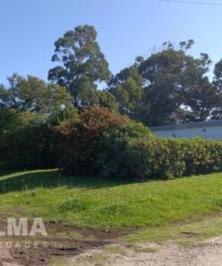 Casa - Chalet en Venta en Playa Los Lobos